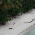marine homestay