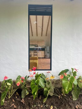 ecohotel alma