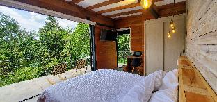ecohotel alma