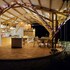 ecohotel alma