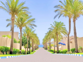 ivy cyrene island resort