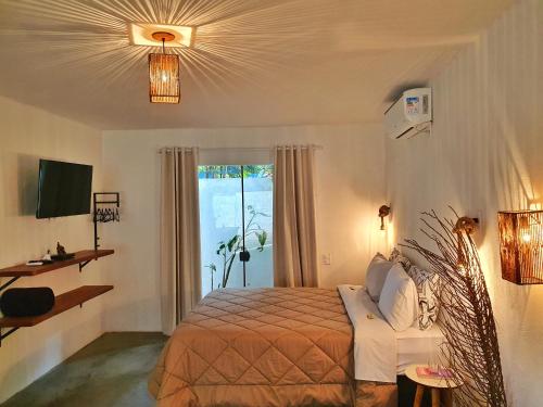 alto paraiso de goias