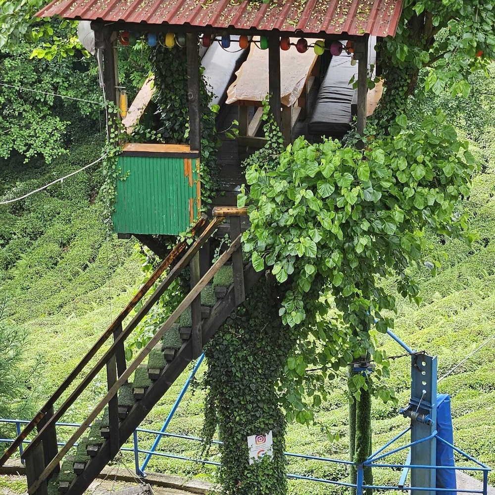 elagza dag evleri