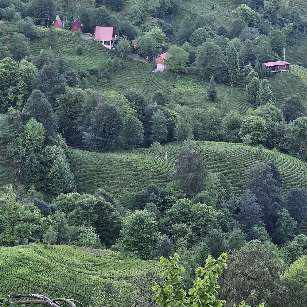 elagza dag evleri