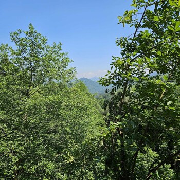 elagza dag evleri
