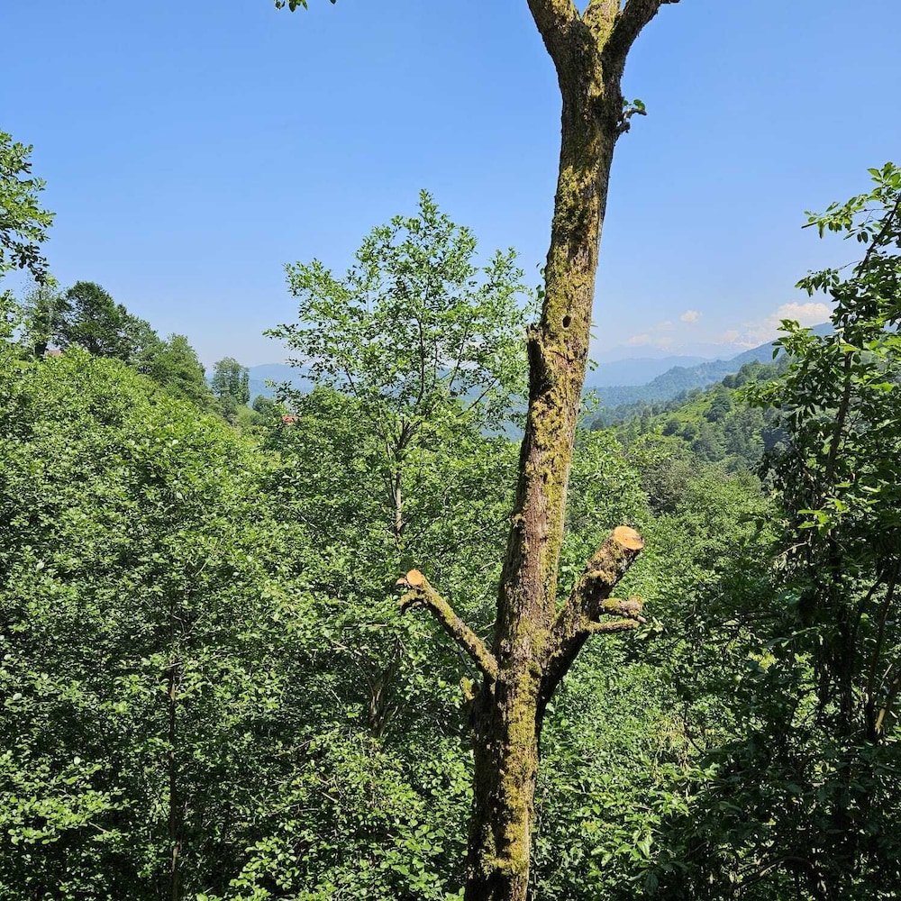 elagza dag evleri