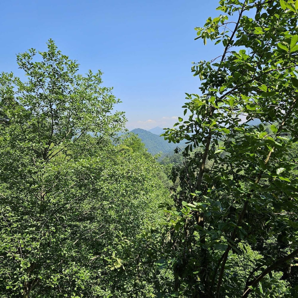 elagza dag evleri