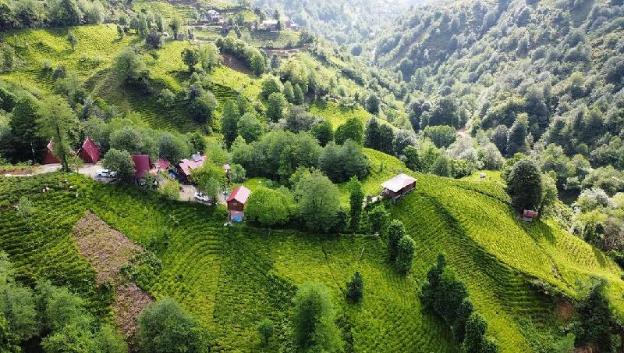 elagza dag evleri