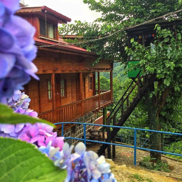 elagza dag evleri