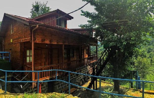 rize