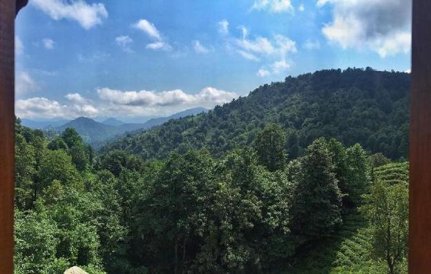 rize