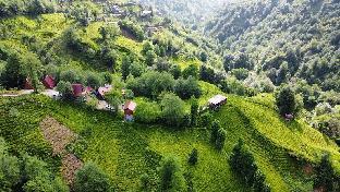 elagza dag evleri