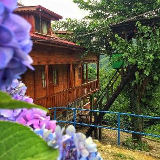 elagza dag evleri