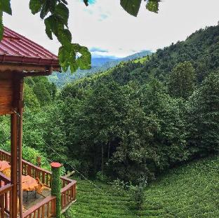 rize