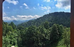 rize