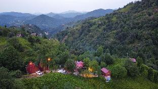 rize