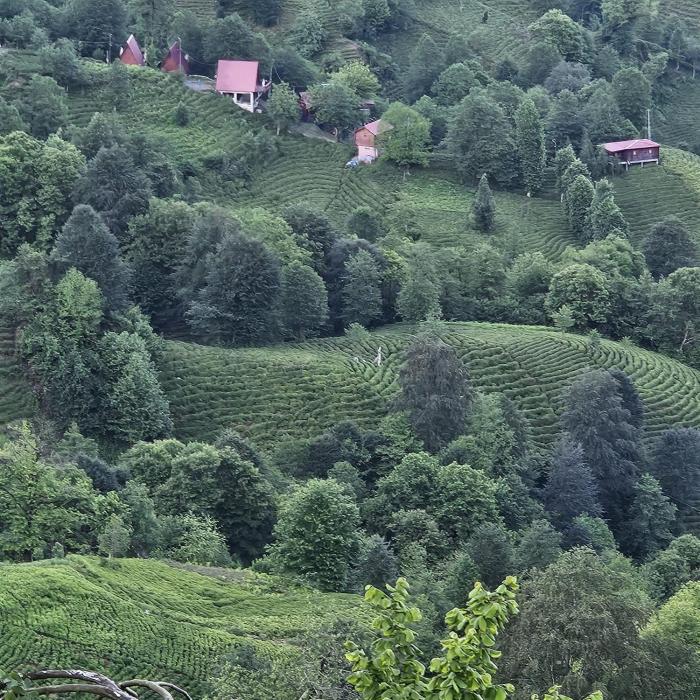 elagza dag evleri