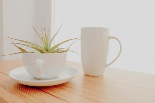 santa cruz de la palma