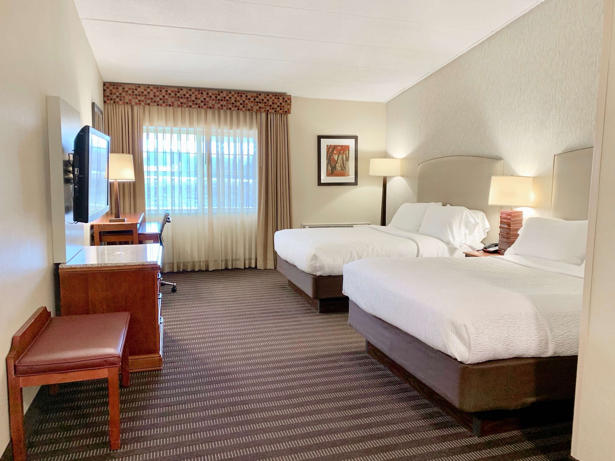 best western springfield hotel