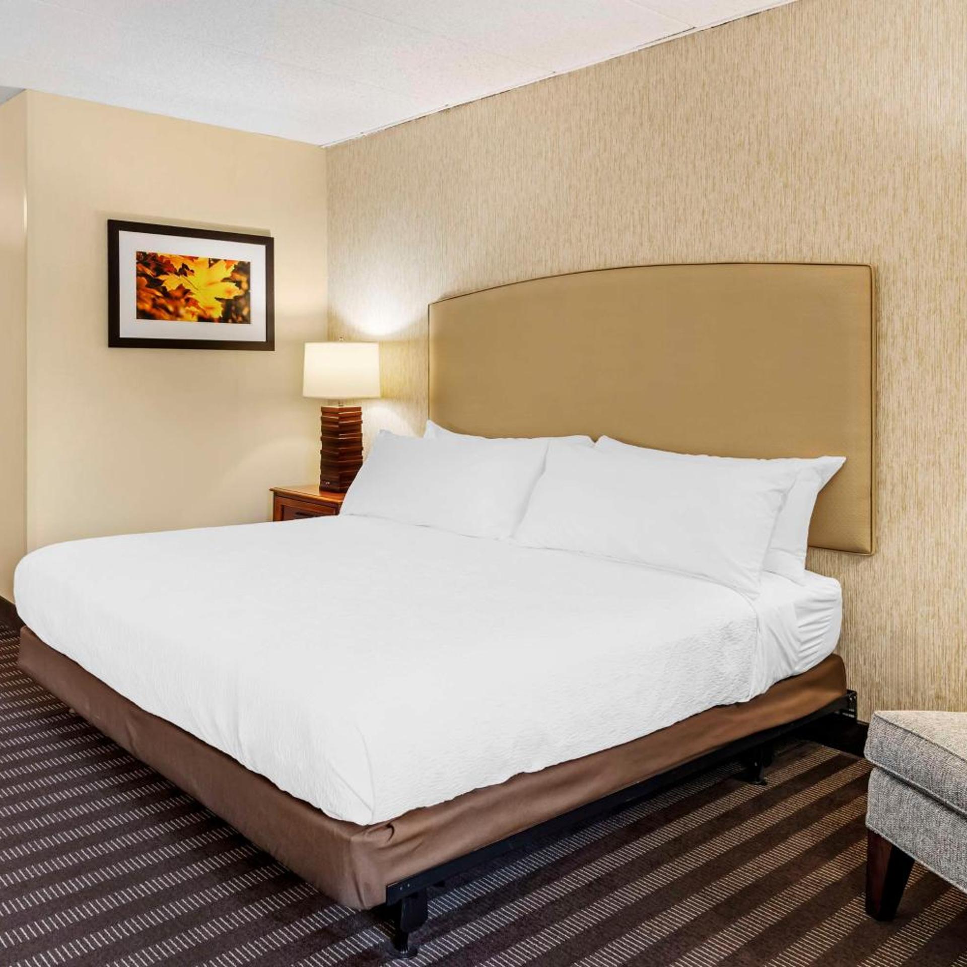 best western springfield hotel