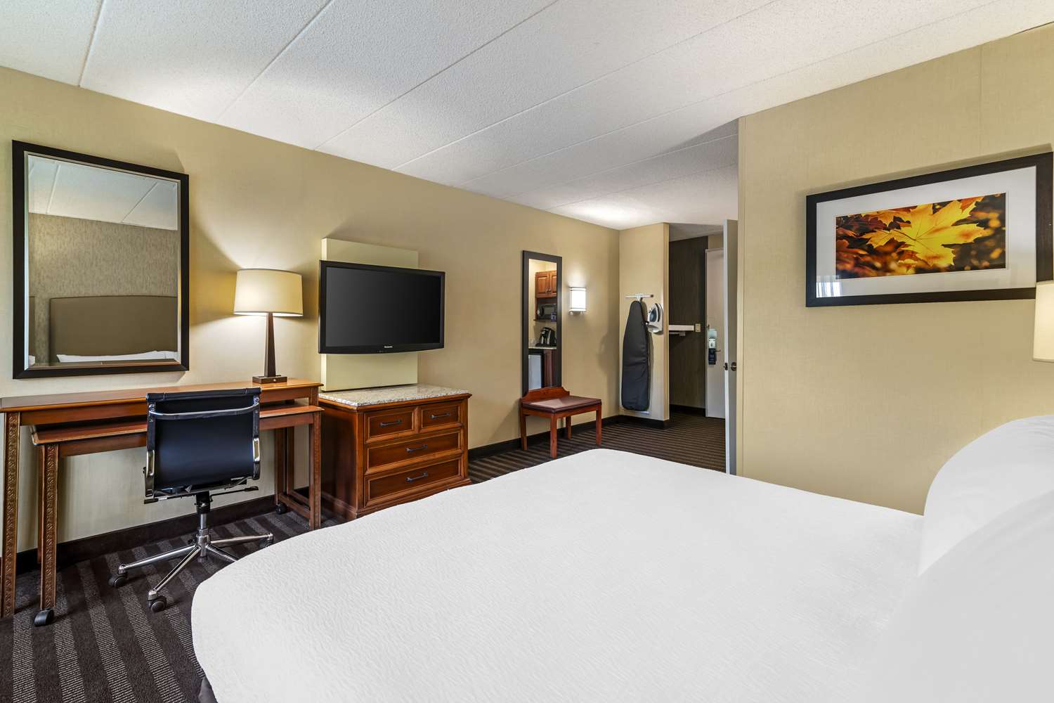 best western springfield hotel