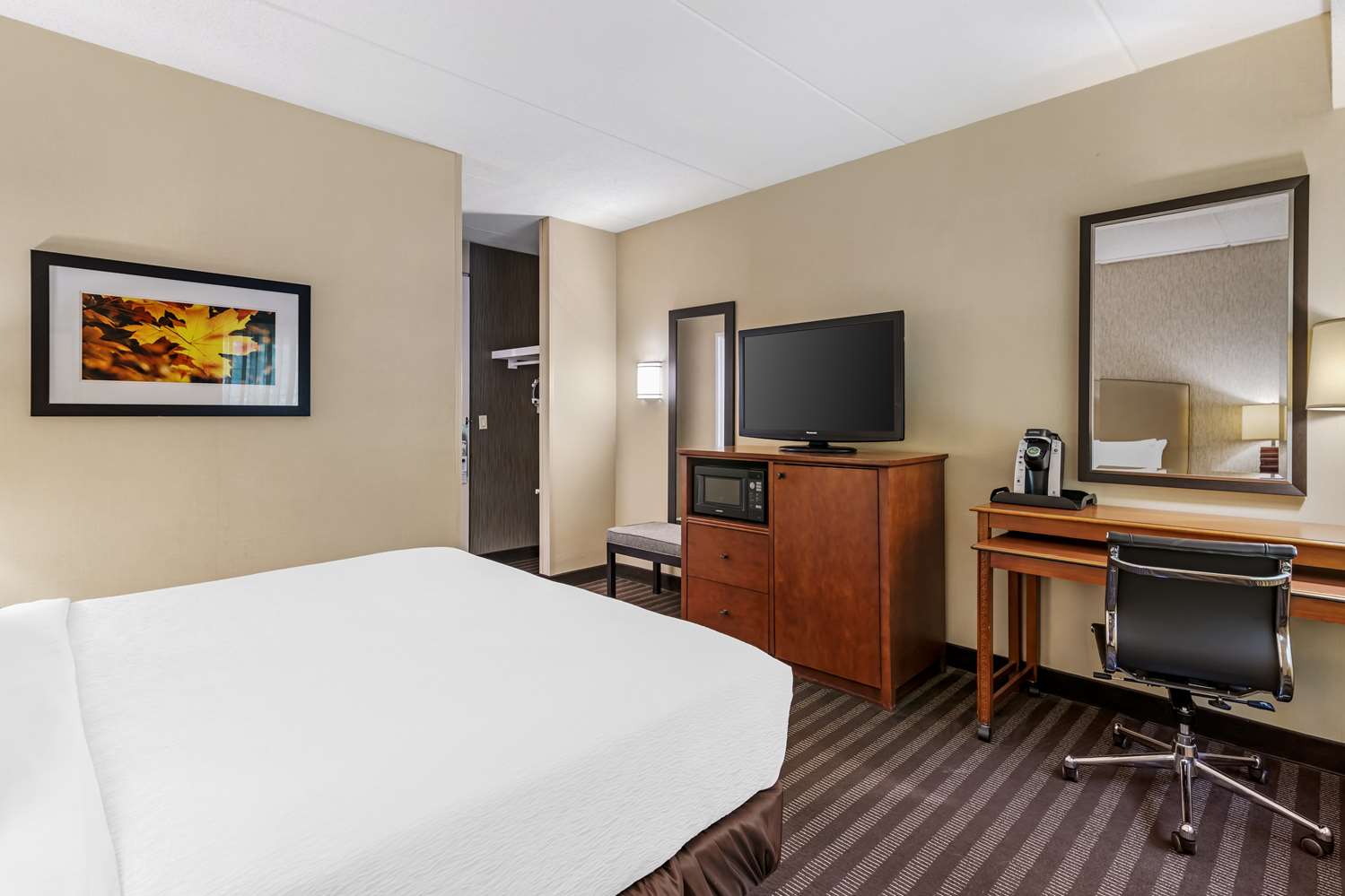 best western springfield hotel