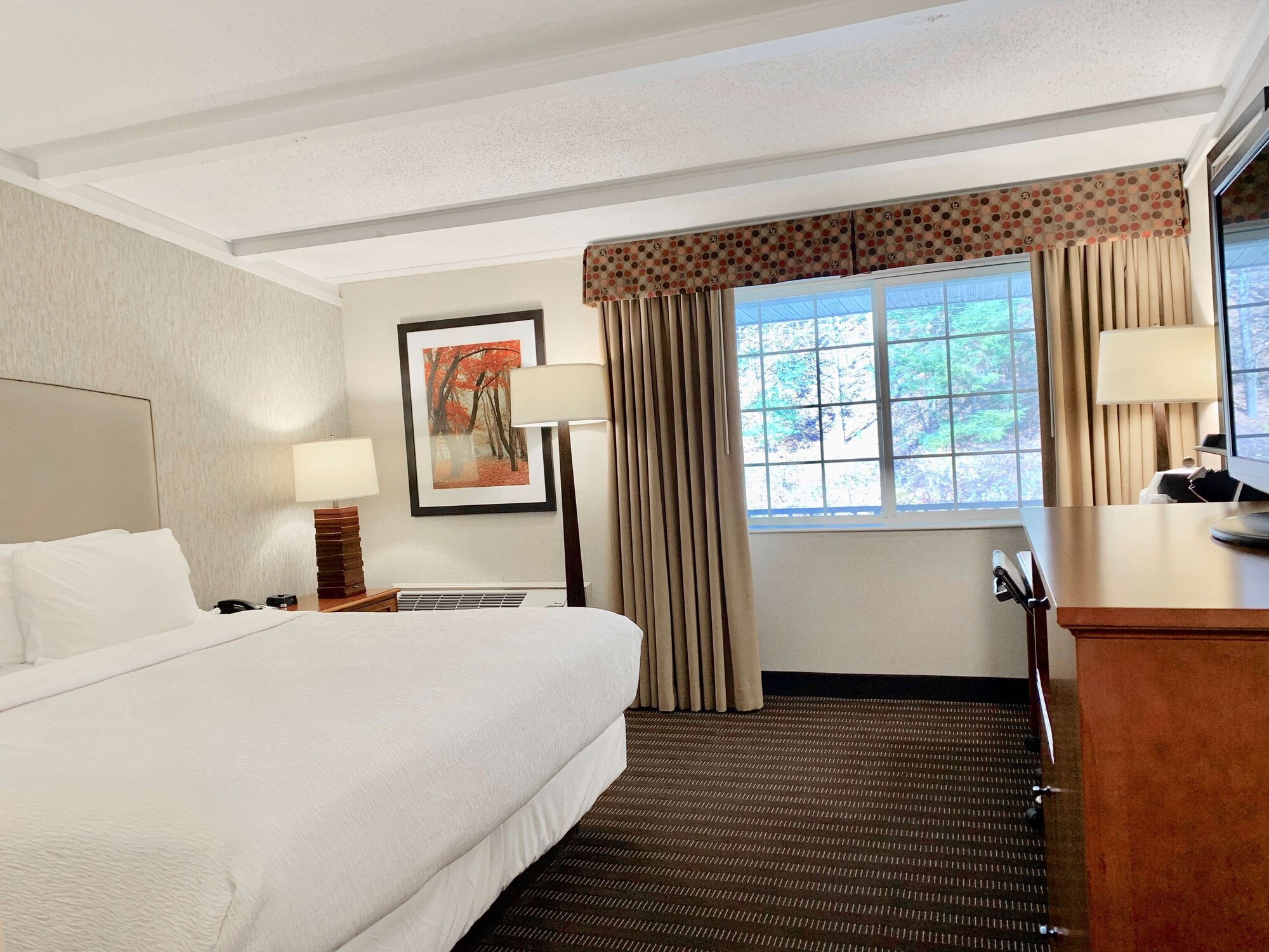 best western springfield hotel