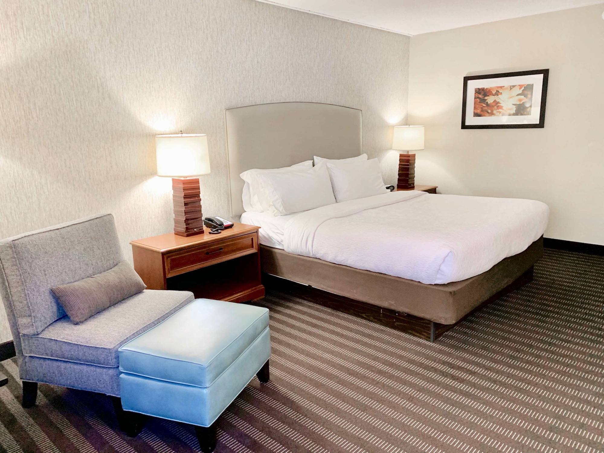 best western springfield hotel
