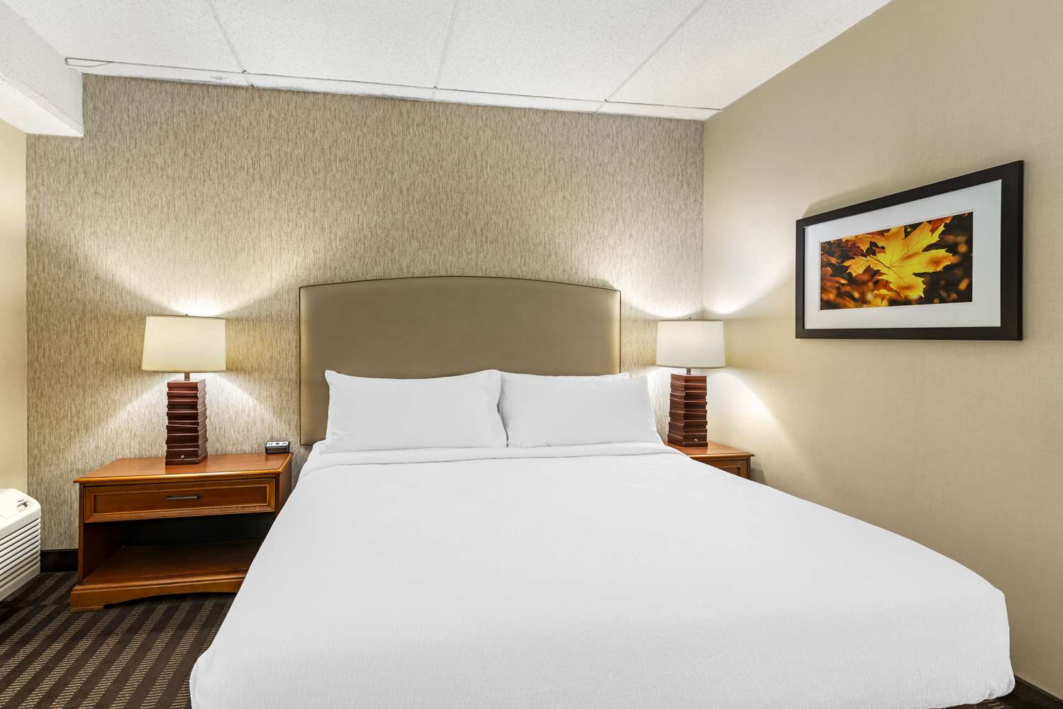best western springfield hotel