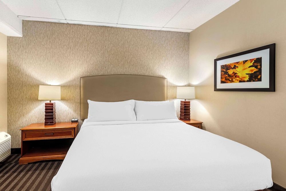 best western springfield hotel
