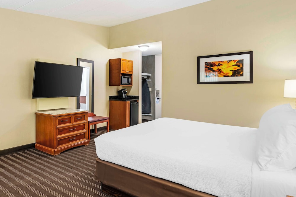 best western springfield hotel