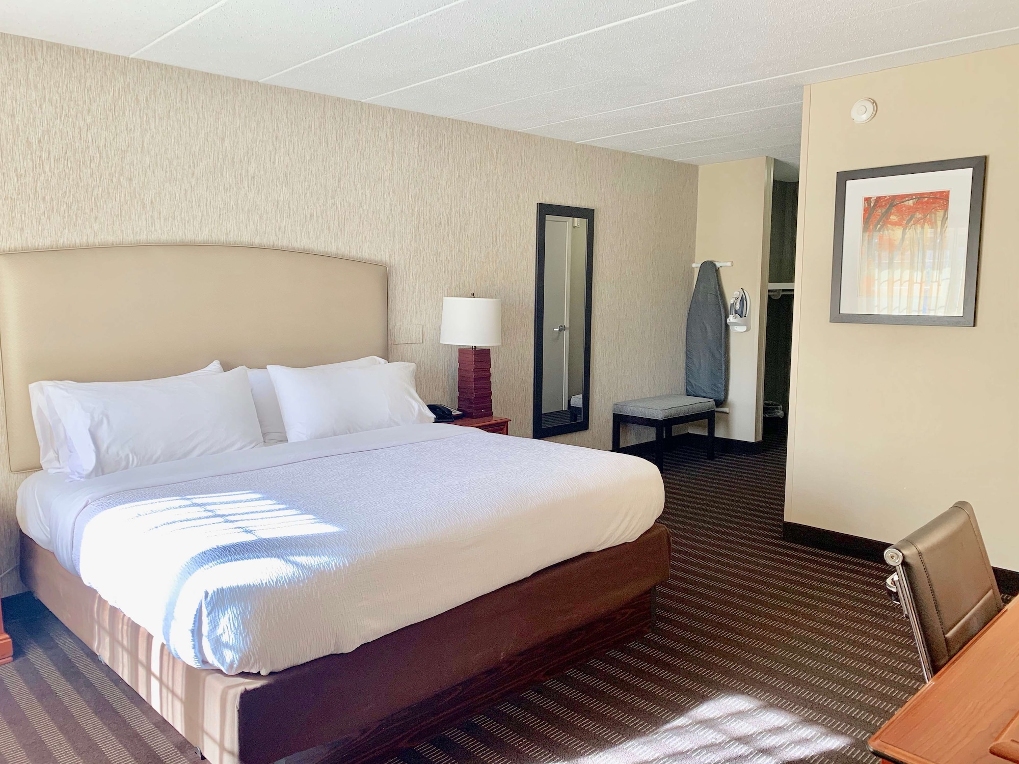 best western springfield hotel