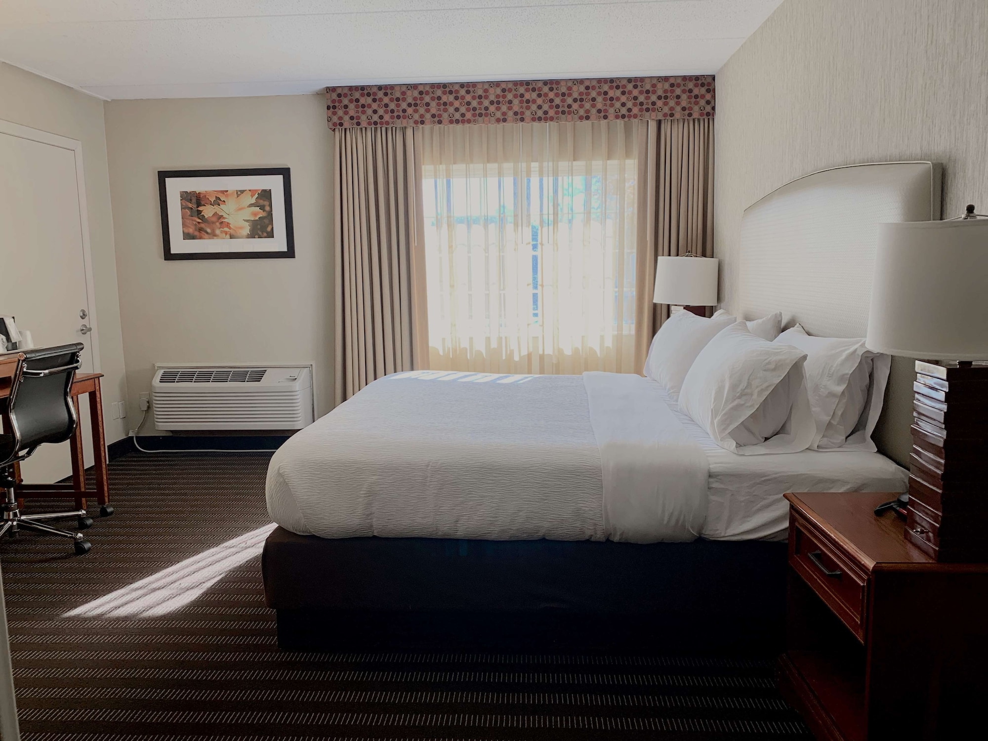 best western springfield hotel
