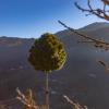 seclude ramgarh willows