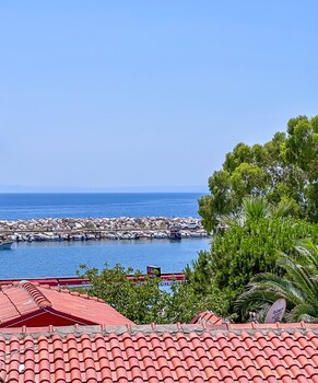 abelia otel