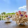 abelia otel