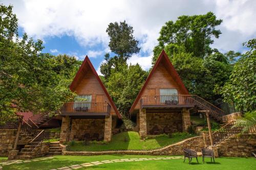 the pear orchard by countryside