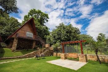 the pear orchard by countryside