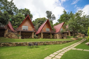 the pear orchard by countryside