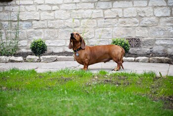 dream stays bath southbank
