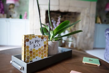 dream stays bath southbank