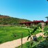 izgen bungalows