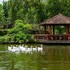 dong goi eco retreat