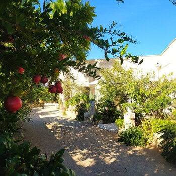 giardino frannicola