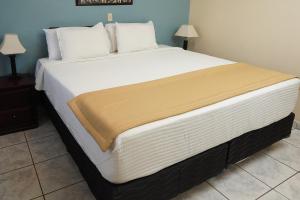 hotel palace ejecutivo