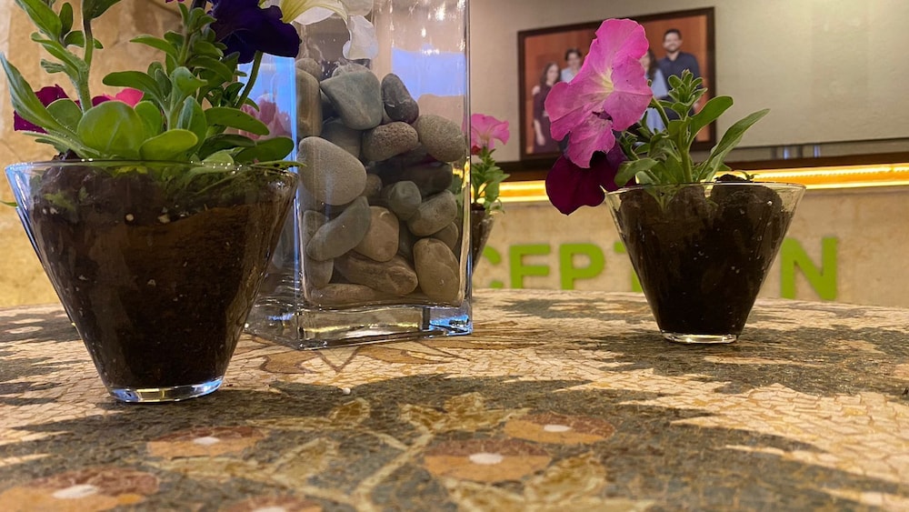 o beach hotel and resort by fhm