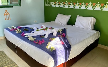 kato waidi nubian house