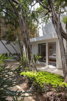 aalada playa del carmen