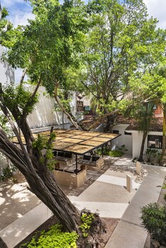 aalada playa del carmen