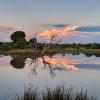 vaalwater
